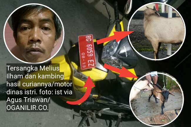 Melius Dua Kali Curi Kambing Pakai Motor Dinas Istri 