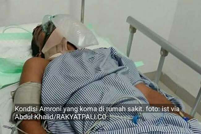 Amroni Koma Setelah Jatuh dari Sarang Walet, Butuh Operasi, Tak ada Biaya