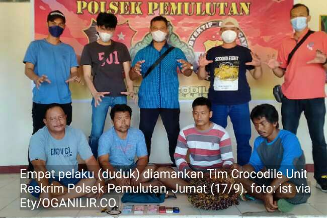 Sikat 9 Ton Sawit, Mandor dan Sopir Diamankan Tim Crocodile Polsek Pemulutan