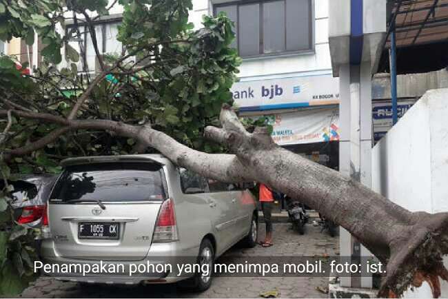 Angin Kencang Membuat Pohon Tumbang Menimpa Mobil