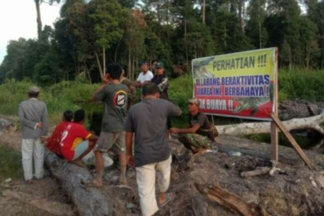 Seram! Awalnya Hanya Candaan, Pria Ini Terekam Video Saat Diterkam Buaya