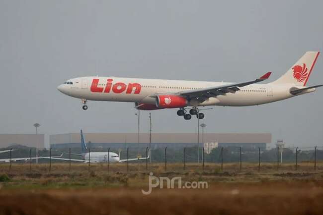 15 Menit Terbang, Lion Air Bird Strike dan Pilot Putuskan RTB