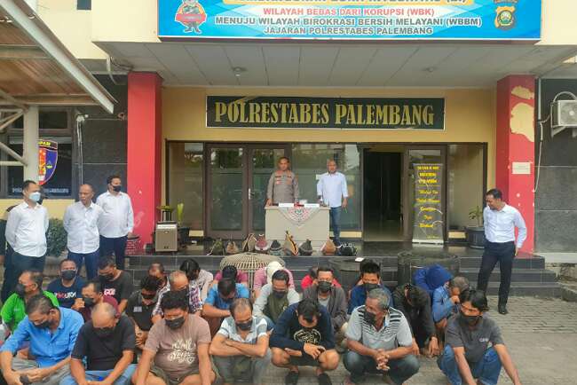 Polrestabes Gerebek Lokasi Judi Sabung Ayam, 28 Pemain Diamankan