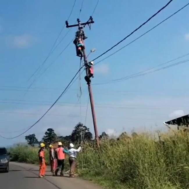 Dramatis Evakuasi 2 Petugas PLN Kena Setrum, Tergantung dan Pingsan