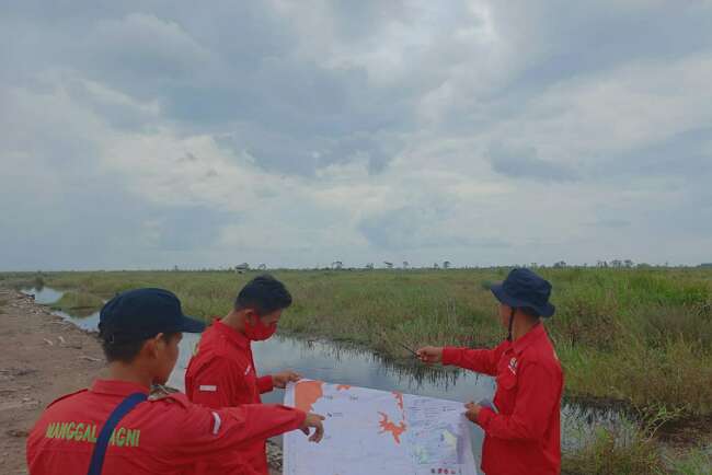 Syukurlah, Gambut OKI Masih Basah Kebakaran Lahan Sulit Terjadi