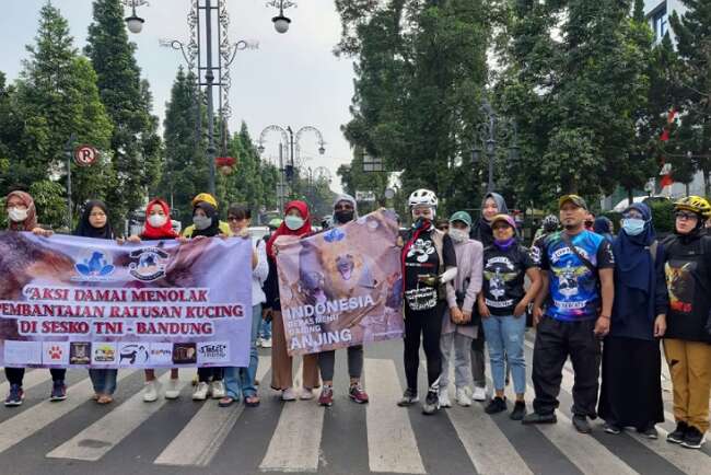 Buntut Pembantaian Kucing di Sesko TNI, Pencinta Kucing Bandung Gelar Aksi Unjuk Rasa