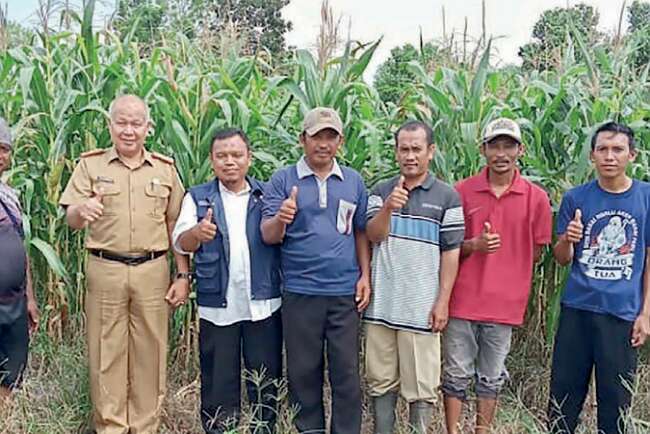 Dinas Pertanian Lahat Belajar Budidaya Lele dan Penanaman Jagung di Indralaya