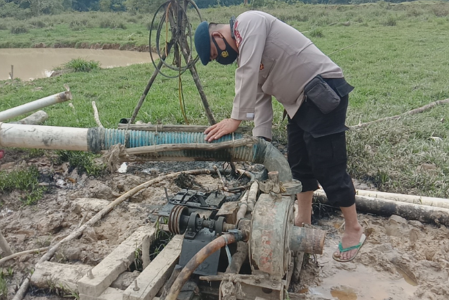 Penambang Emas Sungai Minak Stop Operasi, Kadar Emas Darat Lebih Baik