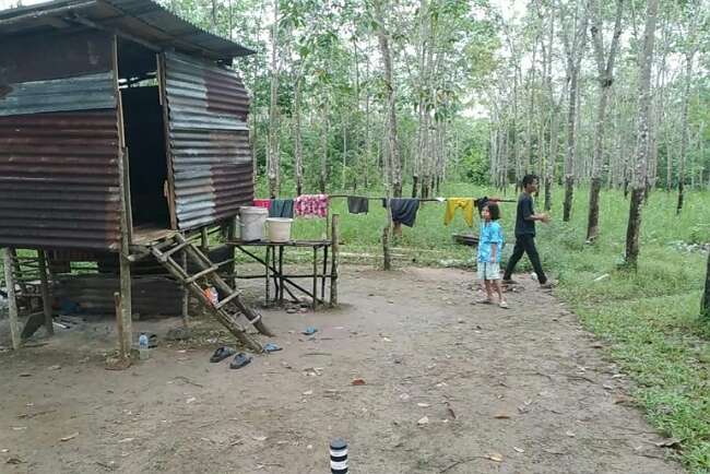 Rela Bermalam di Kebun Karet