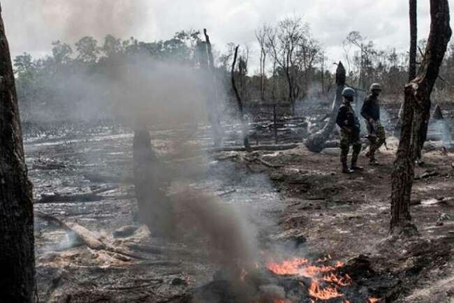 Kilang Minyak Ilegal di Nigeria Selatan Meledak, 80 Tewas