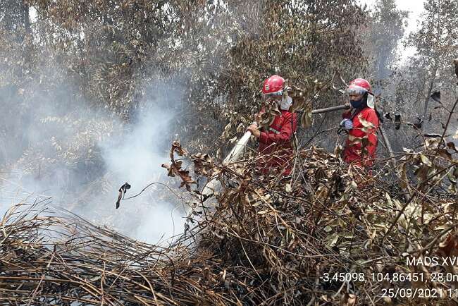 Lahan Gambut Rawan Terbakar, Saat ini Kering dan Tidak Terendam