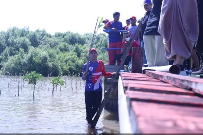 Tanam Mangrove,  Alumni SMA 6 Lestarikan Desa Wisata Untia