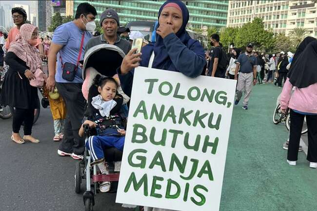 Viral, Ibu Perjuangkan Legalisasi Ganja Medis untuk Anaknya