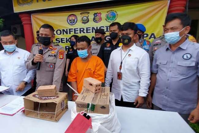 Ngaku Bisa Gandakan Uang, Penjaga Kandang Ayam Ini Tilep Emas dan Uang Puluhan Juta