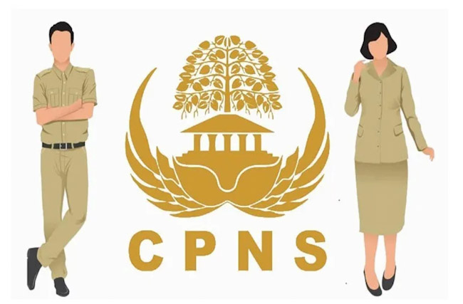 Kuota Penerimaan CPNS Pusat 24.419 Formasi Apa Saja Formasinya, Bagaimana Instansi Daerah