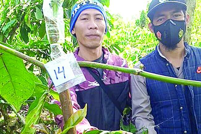 Dusun Kerinjing Pagaralam Sentra Penghasil Sayur dan Buah