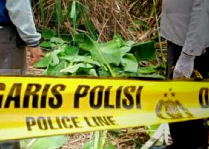 Mayat Mr X Berbaju Batik di Kebun Sawit di OKU Selatan, Ada Bekas Luka Bacokan di Tangan dan Leher