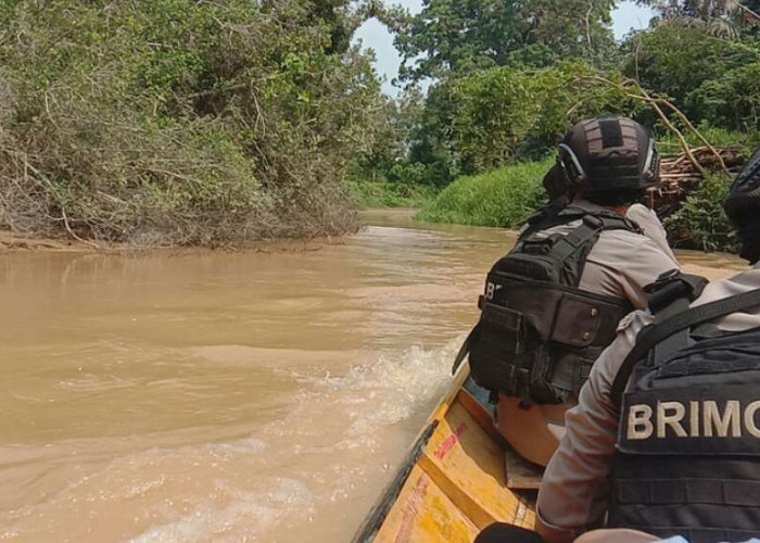 Penambang Emas Muratara Membuat Sungai Jadi Keruh, Jika Ada Razia Air Kembali Normal tapi Sayang Itu Tak Lama